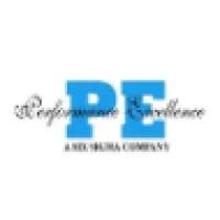 Performance Excellence INC