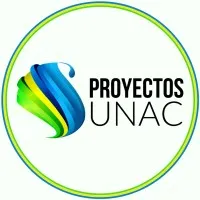 Proyectos Unac