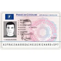 Permis De Conduire