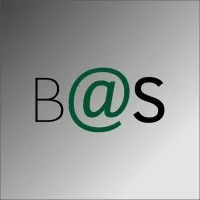 BUSINESS@SCHOOL - A BCG INITIATIVE