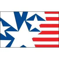 Fondazione Italia USA