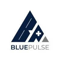 Blue Pulse Group