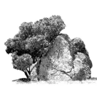 Spirit Rock - An Insight Meditation Center