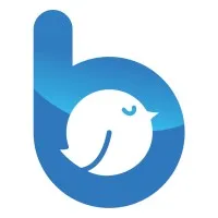 Bluebird Digital Marketing - Facebook Ads, Google Ads, Sales Funnel Automation