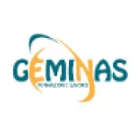 Geminas srl
