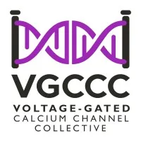 The VGCCC