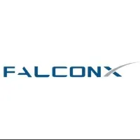 Falcon X