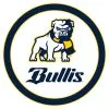 Bullis School