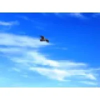 Immigranz Global Limited