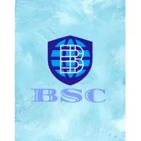 Bonato Sistemas e Consultoria em TI