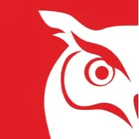 MassMedia Group | Software Development Services