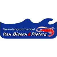 Van Biesen & Pieters