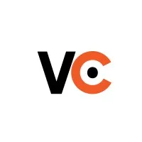 Vibiz Consulting Group