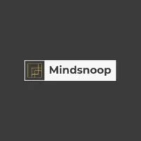 Mindsnoop Marketing