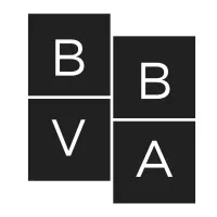 Black Business Ventures Association