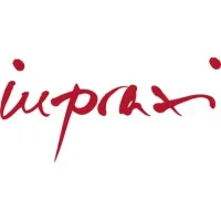 inpraxi Unternehmensberatung GmbH & Co. KG