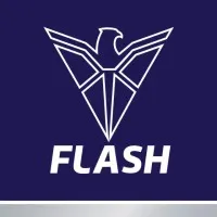 Flash Electronics India Pvt Ltd