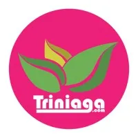 Triniaga
