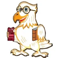 The Study Falcon