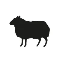 BBH Stockholm | Designing Business Breakthroughs