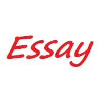Essay