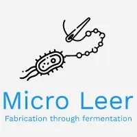 Micro Leer