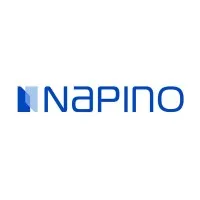 Napino Auto & Electronics Ltd