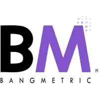 BangMetric Services
