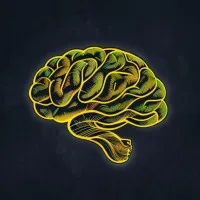 Kalliergo International