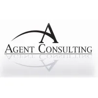 Agent Consulting
