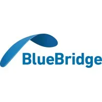 Blue Bridge Code
