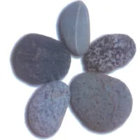 Greystone Programs, Inc.