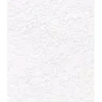 NCL | Coal India Limited