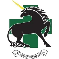 335 Medical Evacuation Regiment