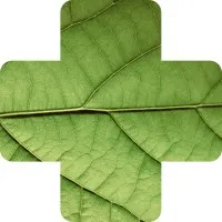 Plant disease identifier