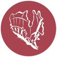 The Students Commission of Canada