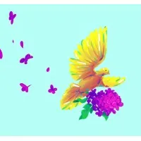 Les Arts Fleurissent la Ville - LAFV