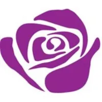 Purple Rose Theatre Company