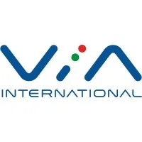 VIA INTERNATIONAL LLC