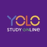YOLO STUDY Online