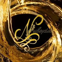 Nulexia Career, Recruiting & Business Consulting