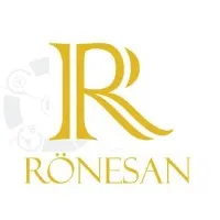 Rönesan Araştırma Teknoloji Geliştirme Elektronik LTD. ŞTİ.
