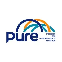 PURE- Program for Undergraduate Research