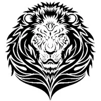 LIONS ESTATE - najczęściej polecana agencja nieruchomości premium