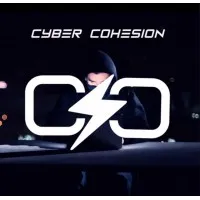 Cyber Cohesion