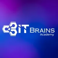 IT Brains Academy