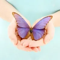 Mariposa Therapy Services