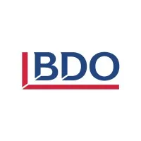 BDO Turkey