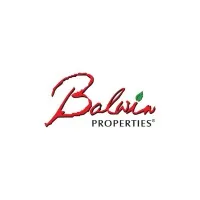 Balwin properties