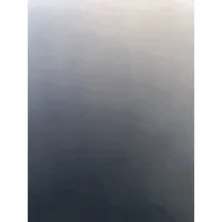 eXp Realty of California, Inc